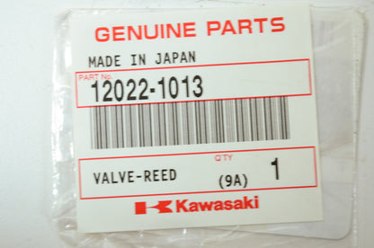 OEM Kawasaki 12022-1013 Reed Valve NOS