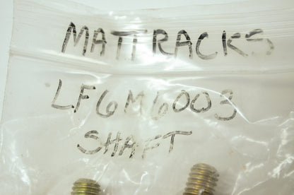 NEW OEM Polaris Snowmobile ATV UTV Mattrack Bolts QTY 2 LF6M6003 NOS