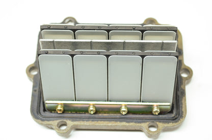OEM Polaris 1202698 Reed Valve Assembly