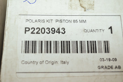 OEM Polaris 2203943 Piston Kit NOS