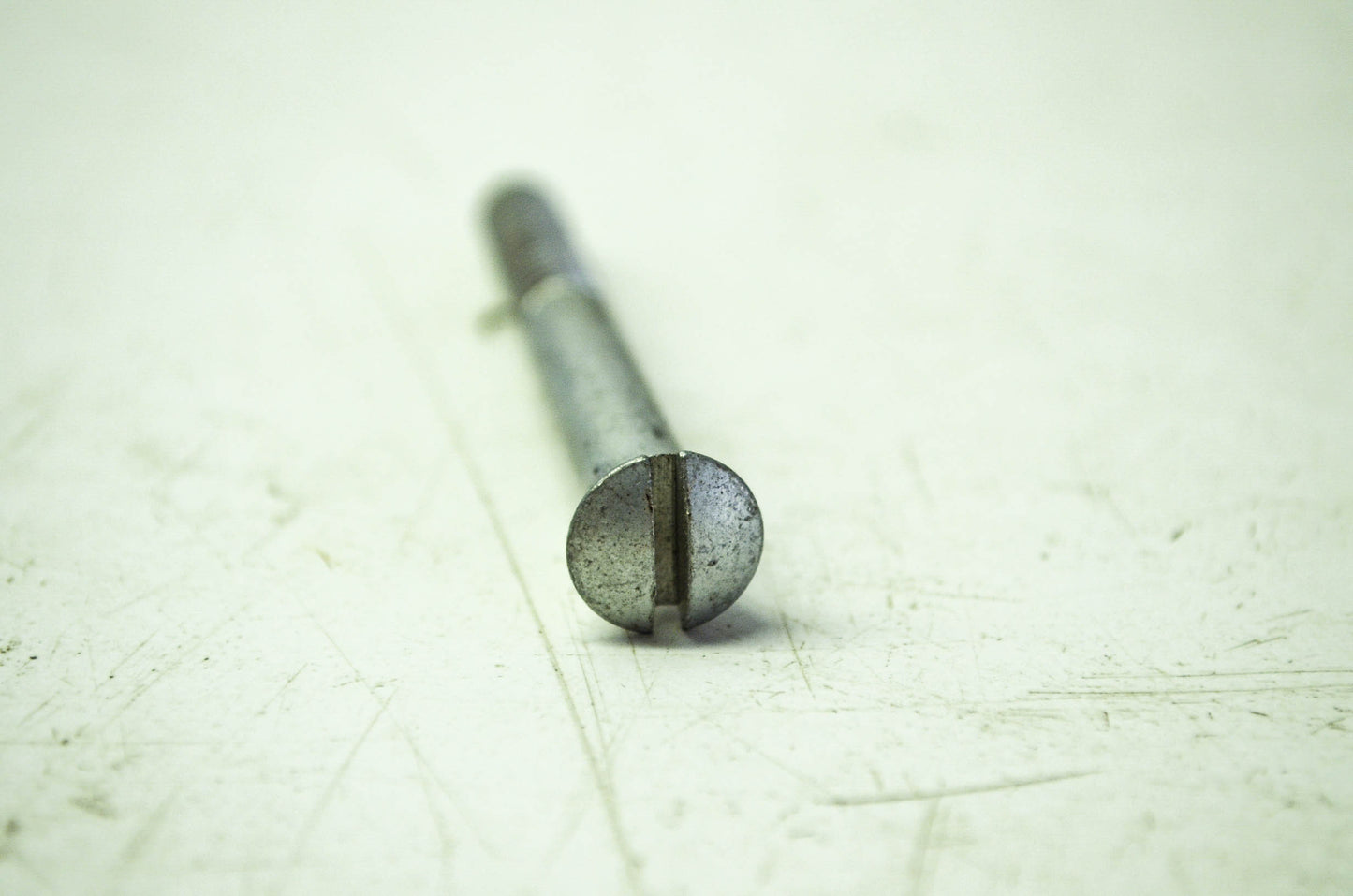 Harley-Davidson Gear Cover Screw Bolt NOS