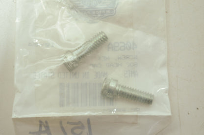 OEM Harley-Davidson 4069A Hex Socket Head Cap Screw Qty 2 NOS