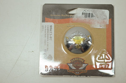 1-1 8' V-Wing Front Caliper Trim NOS