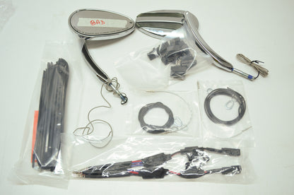 Mirror with Auxiliary Running Light and Directional Indicator