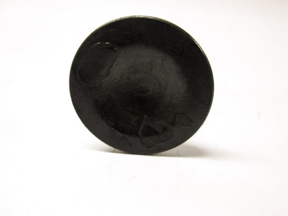 OEM Kawasaki 12004-1011 Intake Valve