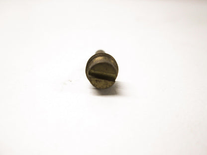 OEM Kawasaki 16021-001 Stop Screw NOS