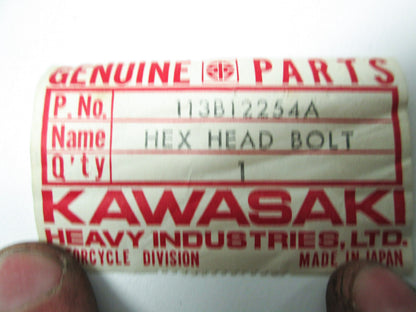 OEM Kawasaki 113B12254A Hex Head Bolt 12X254 NOS