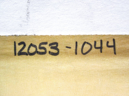 OEM Kawasaki 12053-1044 Chain Guide