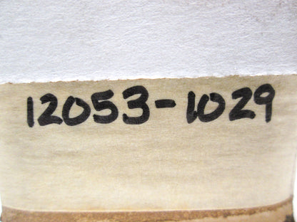 OEM Kawasaki 12053-1029 Chain Guide