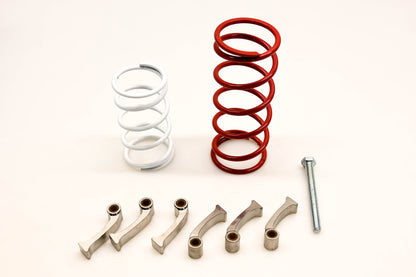 EPI WE437084 Sand Dune Stock Can-Am Renegade 800 EFI Clutch Kit NOS
