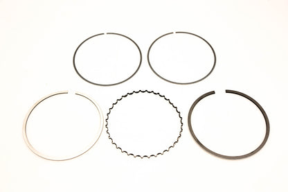 Athena S41316110 Piston Ring Kit NOS