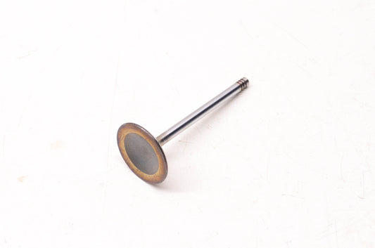 Aftermarket 420254295 Intake Valve NOS