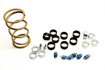 EPI WE436611 Sanddune Clutch Kit NOS