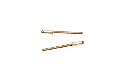 Aftermarket 390402500 Rivets Qty 2 NOS