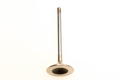 Aftermarket 420855023 Exhaust Valve NOS