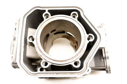 Aftermarket 420923855, 6923850 Rotax Piston Cylinder NOS