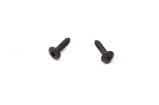 Aftermarket 250000199 Screws Qty 2 NOS