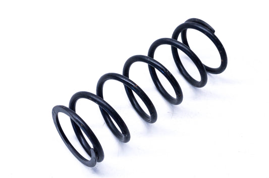 Aftermarket 415019200 Spring NOS
