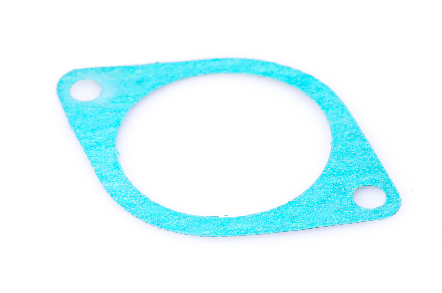 Aftermarket 420830906 Intake Gasket NOS