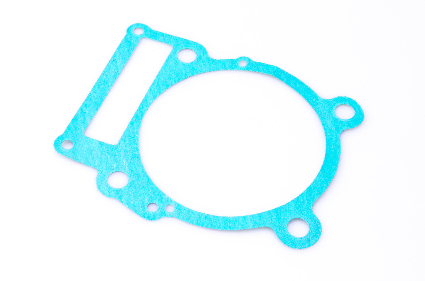 Aftermarket 420650010 Gasket NOS