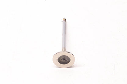 Aftermarket 420254027 Exhaust Valve NOS