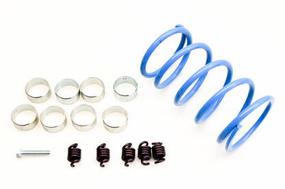 EPI WE490703 Sport Utility Clutch Kit 08-13 Yamaha Grizzly 450 NOS