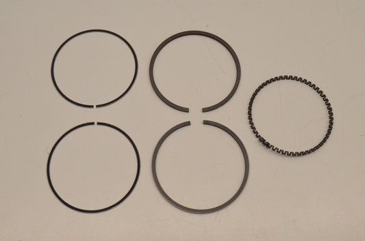 New OEM Arctic Cat 0693-002 Piston Ring Kit NOS