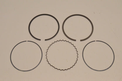 New OEM Arctic Cat 0693-576 Piston Ring Kit AC7500GD2E NOS