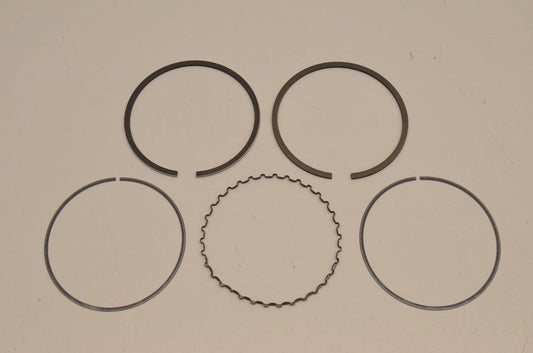 New OEM Arctic Cat 0693-576 Piston Ring Kit AC7500GD2E NOS