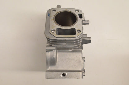 New OEM Arctic Cat 0691-389 Cylinder Assembly NOS