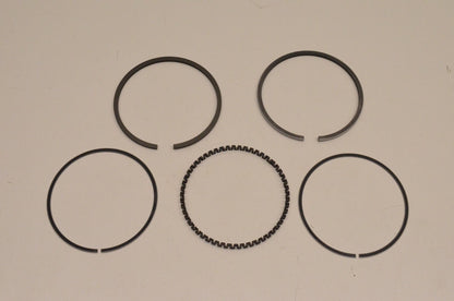 New OEM Arctic Cat 0691-250 Piston Ring Kit NOS
