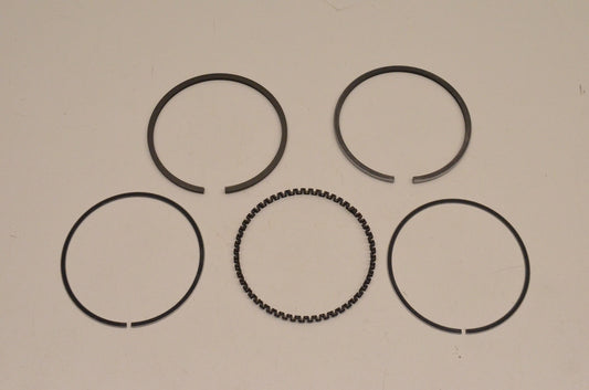 New OEM Arctic Cat 0691-250 Piston Ring Kit NOS