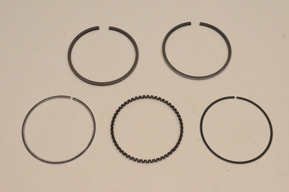 New OEM Arctic Cat 0691-250 Piston Ring Kit NOS