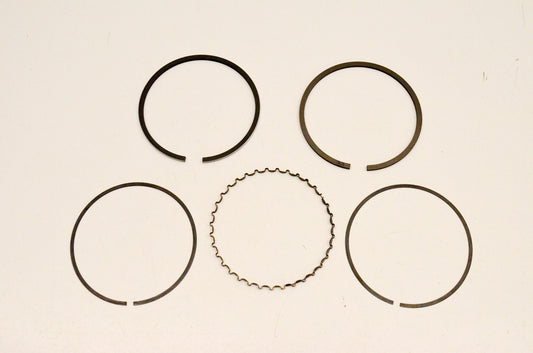 New OEM Arctic Cat 0691-072 Piston Ring Kit NOS