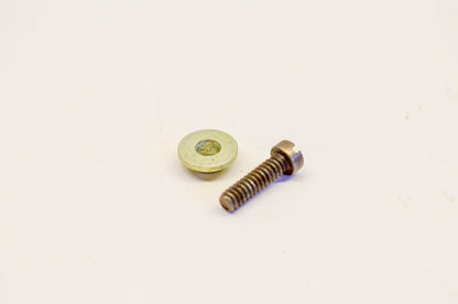 New OEM Briggs & Stratton 298031 Carburetor Lever Screw NOS