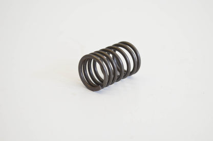 New OEM Briggs & Stratton 260552, 1591 Valve Spring NOS