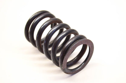 Kohler 270171 Valve Spring NOS