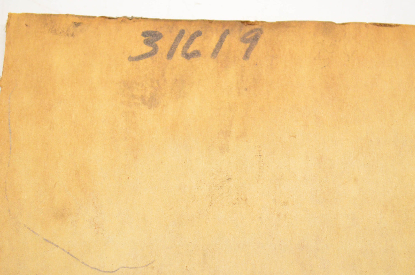 Tecumseh 31619 Gasket Qty 2 NOS