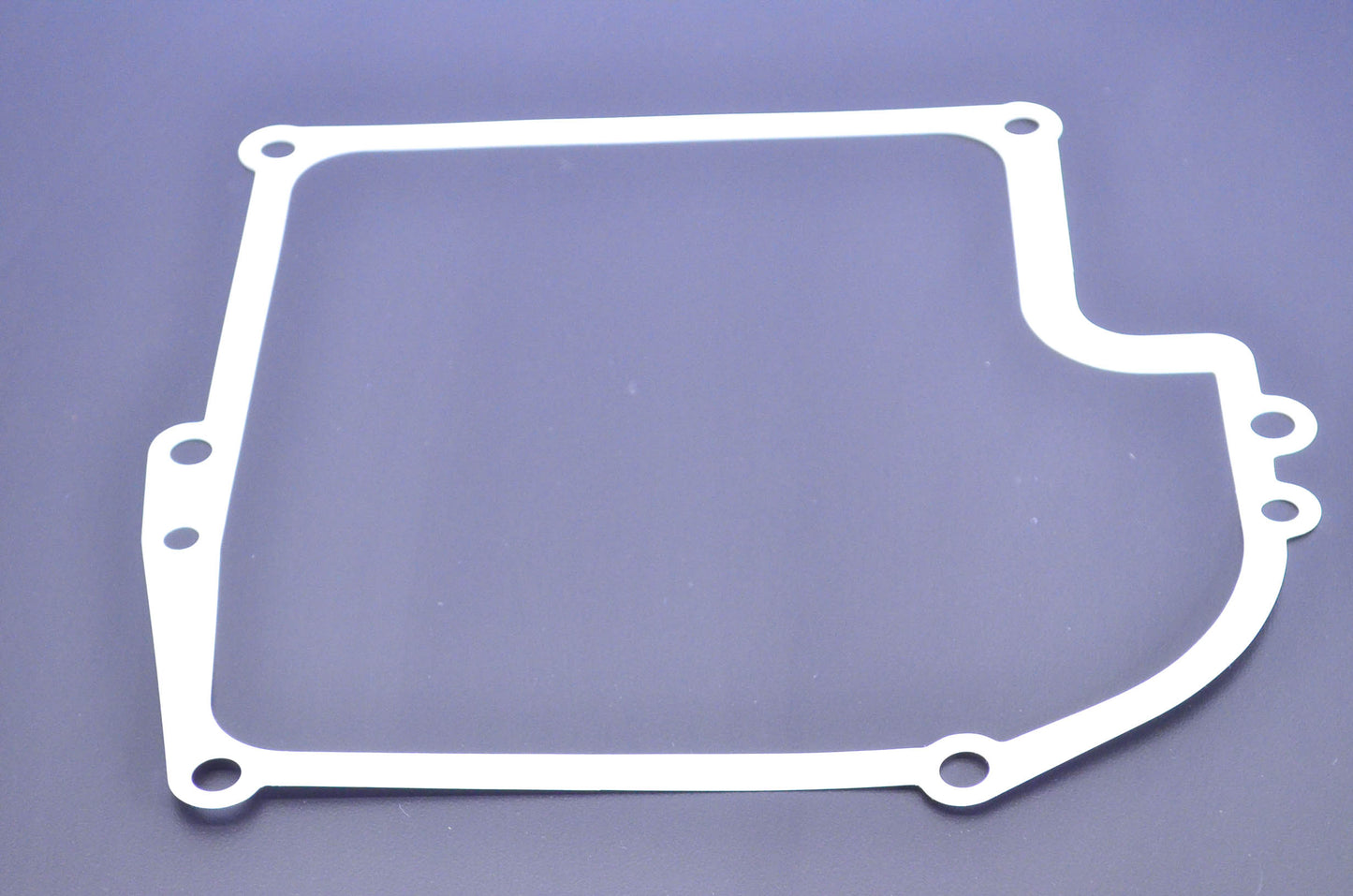 New OEM Briggs & Stratton 27877 Crankcase Gasket NOS