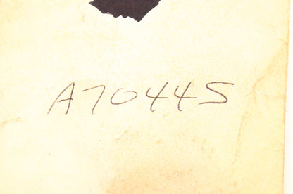 Homelite A-70445, A70445 Fuel Cap NOS