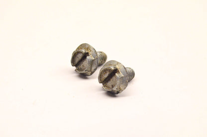 Homelite 80869 Screw Qty 2 NOS