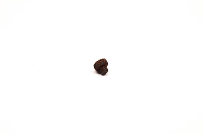 Tecumseh 670249 Dial Indicator Tip NOS
