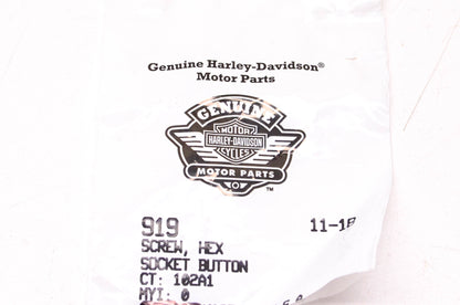 New OEM Harley-Davidson 919 Hex Socket Button Head Screw Qty 2 NOS