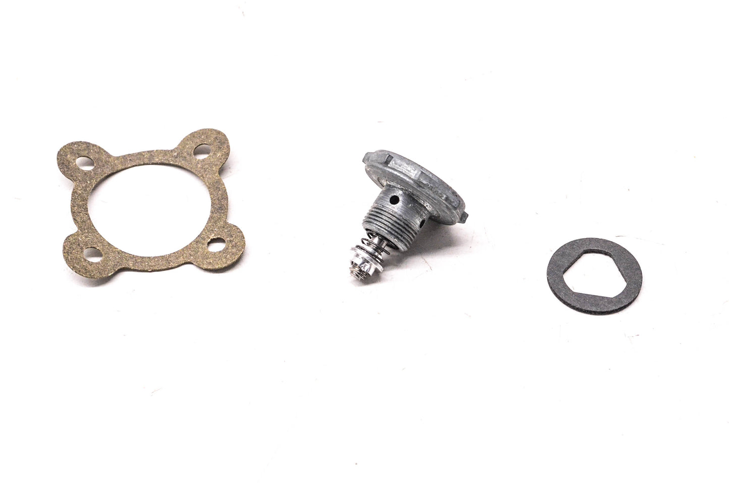 Motorcraft CE-113, D5ZZ-9A565-A Valve & Gasket NOS