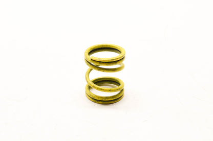 GM 7819898 Spring NOS