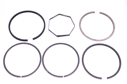 New OEM Briggs & Stratton 390679, 792366 Piston Ring Kit NOS