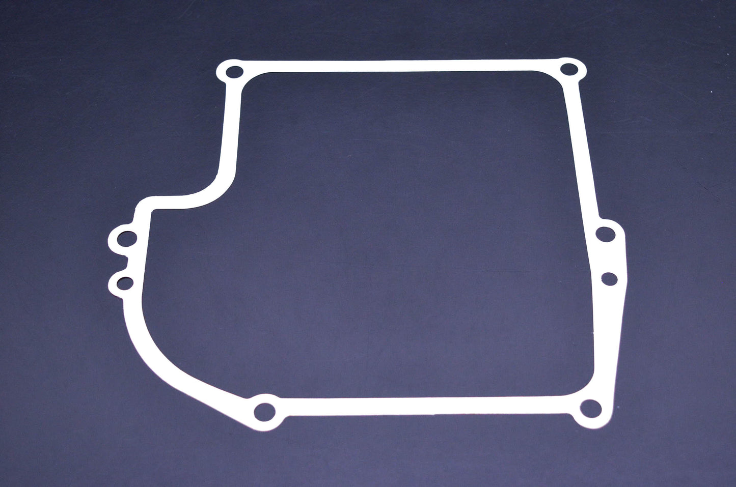 New OEM Briggs & Stratton 27876 Crankcase Gasket NOS