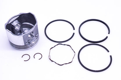 New OEM Briggs & Stratton 499294, 515312 Piston Kit NOS