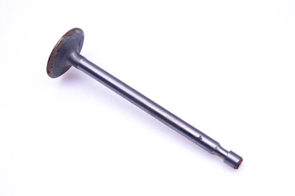 New OEM Briggs & Stratton 261462, 690429 Intake Valve NOS