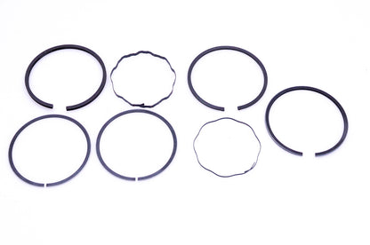 New OEM Briggs & Stratton 299744 Piston Ring Kit NOS